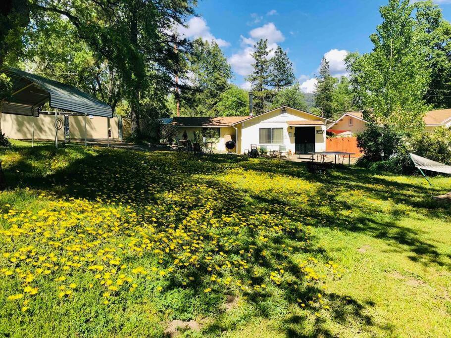 Sierra Sunset Cottage -Yosemite Area Vacation Cottage Ahwahnee Luaran gambar